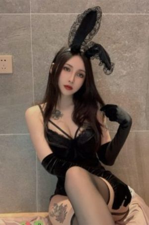 电视剧警察锅哥40集高清在线观看_DVD免费在线播放