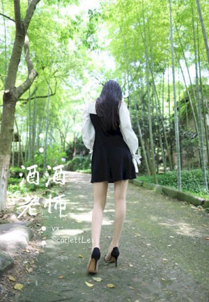 动物狂想曲第一季免费观看完整版_HD免费观看最新