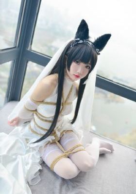 愿以辰光挽君心动漫免费观看全集_高清免费全集观看